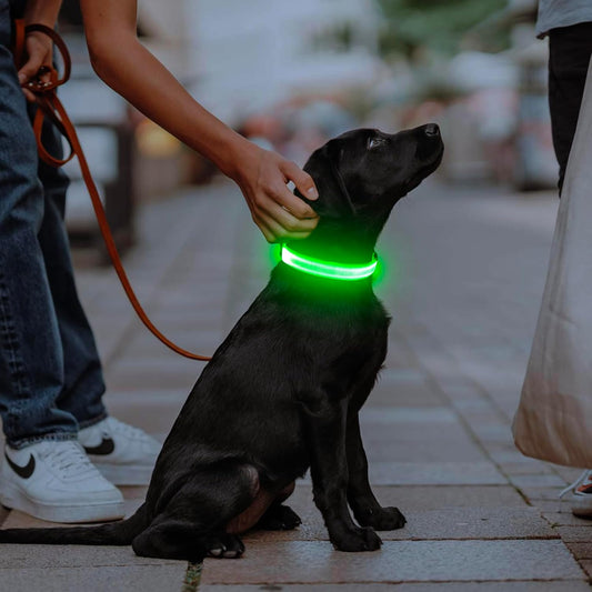 Smart LED Pet Safety Collar Adjustable | Waterproof